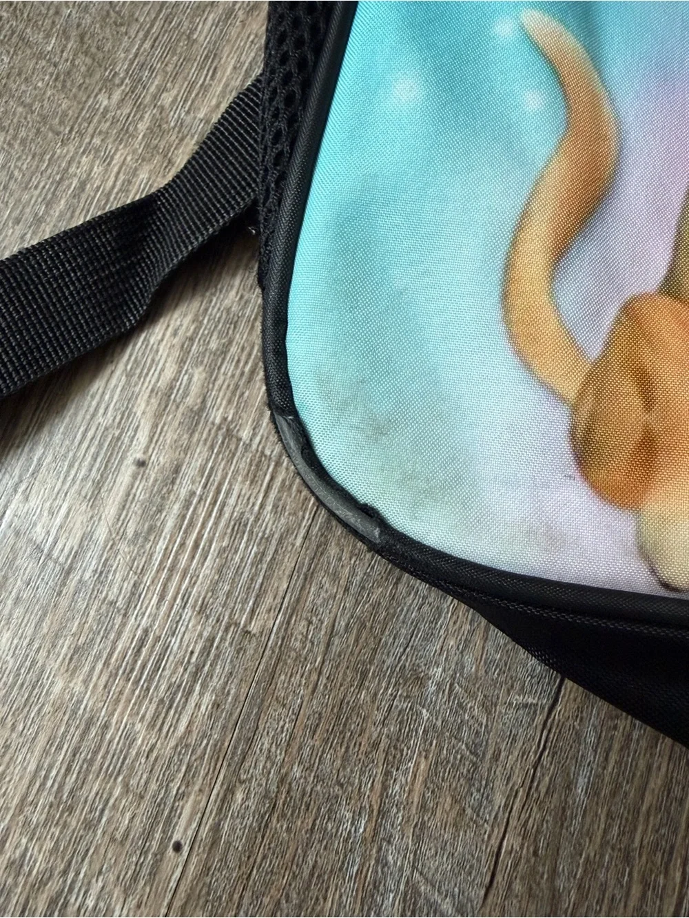 Cocomelon Kids Backpack